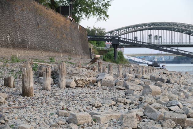 RECORD DATE NOT STATED Koeln GER, Natur, Klima, Sommer, Trockenheit, Rhein, Niedrigwasser, Koeln, Nordrhein-Westfalen, Deutschland, 06.08.2026 Der Pegelstand des Rheins in Koeln ist bedenklich niedrig und laesst die Schifffahrt nur eingeschraenkt zu GER, Natur, Klima, Sommer, Trockenheit, Rhein, Niedrigwasser, Koeln, Nordrhein-Westfalen, Deutschland, 06.08.2026 *** Cologne, Germany, Nature, Climate, Summer, Drought, Rhine, Low Water Levels, Cologne, North Rhine-Westphalia, Germany, August 6, 2026 The water level of the Rhine in Cologne is alarmingly low, allowing only limited navigation GER, Nature, Climate, Summer, Drought, Rhine, Low Water, Cologne, North Rhine-Westphalia, Germany, August 6, 2026 Copyright: xEibner-Pressefoto JuergenxAugstx EP_JAT