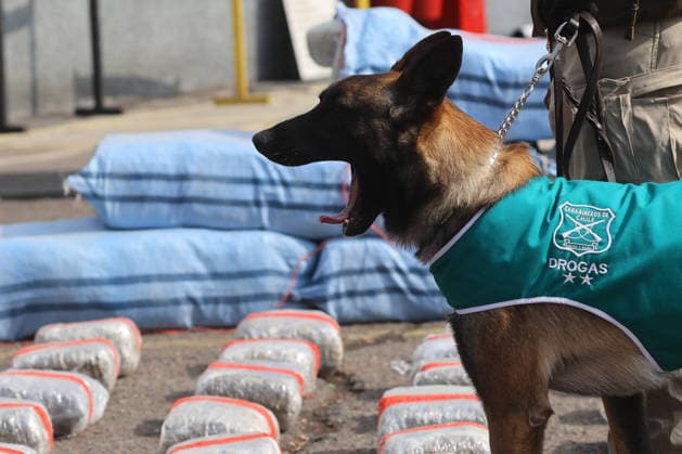 Santiago, August 7, 2026—The Carabineros released details of the operation carried out by Department O S 7 in conjunction with the Antofagasta Regional Prosecutor’s Office, resulting in the dismantling of two criminal organizations and the seizure of more than 2.1 metric tons of marijuana. Jonnathan Oyarzun Aton Chile, Santiago, Chile Aton 1178748  Copyright: JONNATHANxOYARZUN ATONxCHILE