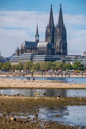 Niedrigwasser im Rhein bei Köln, Blick vom rechtsrheinischen Ufer am Rheinpark Richtung Süden, Innenstadt mit dem Dom, die Binnenschifffahrt ist stark eingeschränkt, nur wenige Schiffe fahren, dann mit stark reduzierter Ladung, am Tag der Aufnahme war es bis dato der tiefste je gemessener Rheinpegel in Köln, 60 cm, NRW, Deutschland Niedrigwasser Rhein K *** Low water levels in the Rhine near Cologne, View looking south from the right bank of the Rhine at Rheinpark; the city center with the cathedral; inland waterway shipping is severely restricted, with only a few ships operating, and those carrying greatly reduced loads; on the day this photo was taken, the Rhine water level in Cologne was the lowest ever recorded to date, at 60 cm, No