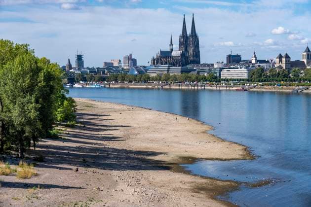 Niedrigwasser im Rhein bei Köln, Blick vom rechtsrheinischen Ufer am Rheinpark Richtung Süden, Innenstadt mit dem Dom, die Binnenschifffahrt ist stark eingeschränkt, nur wenige Schiffe fahren, dann mit stark reduzierter Ladung, am Tag der Aufnahme war es bis dato der tiefste je gemessener Rheinpegel in Köln, 60 cm, NRW, Deutschland Niedrigwasser Rhein K *** Low water levels in the Rhine near Cologne, View looking south from the right bank of the Rhine at Rheinpark; the city center with the cathedral; inland waterway shipping is severely restricted, with only a few ships operating, and those carrying greatly reduced loads; on the day this photo was taken, the Rhine water level in Cologne was the lowest ever recorded to date, at 60 cm, No