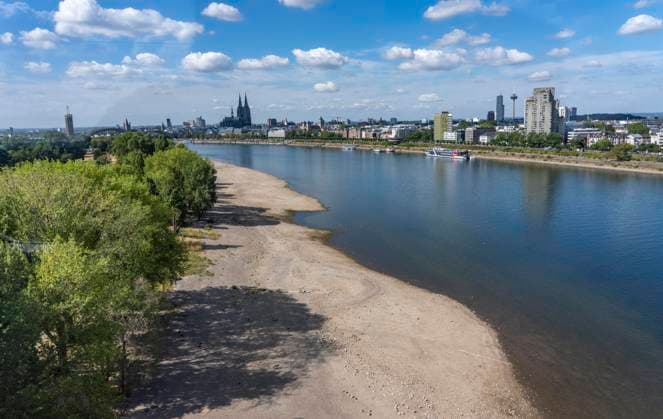 Niedrigwasser im Rhein bei Köln, Blick vom rechtsrheinischen Ufer am Rheinpark Richtung Süden, Innenstadt mit dem Dom, die Binnenschifffahrt ist stark eingeschränkt, nur wenige Schiffe fahren, dann mit stark reduzierter Ladung, am Tag der Aufnahme war es bis dato der tiefste je gemessener Rheinpegel in Köln, 60 cm, NRW, Deutschland Niedrigwasser Rhein K *** Low water levels in the Rhine near Cologne, View looking south from the right bank of the Rhine at Rheinpark; the city center with the cathedral; inland waterway shipping is severely restricted, with only a few ships operating, and those carrying greatly reduced loads; on the day this photo was taken, the Rhine water level in Cologne was the lowest ever recorded to date, at 60 cm, No