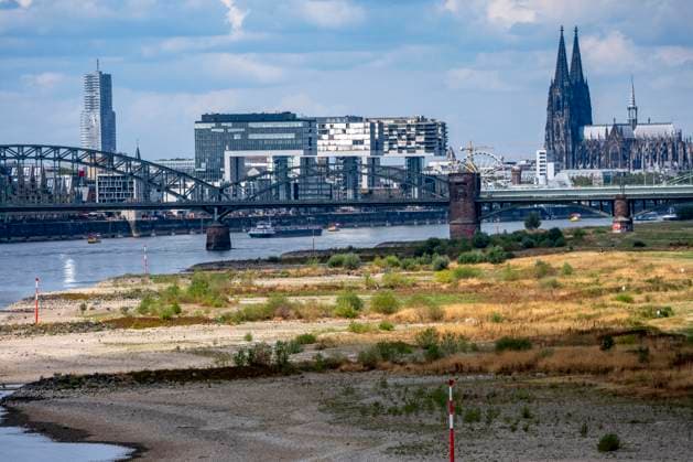 Niedrigwasser im Rhein bei Köln, Blick vom rechtsrheinischen Ufer über die Poller Wiesen, Richtung Norden, Südbrücke, Skyline der Innenstadt mit dem Dom, die Binnenschifffahrt ist stark eingeschränkt, nur wenige Schiffe fahren, dann mit stark reduzierter Ladung, am Tag der Aufnahme war es bis dato der tiefste je gemessener Rheinpegel in Köln, 60 cm, NRW, Deutschland Niedrigwasser Rhein K *** Low water levels on the Rhine near Cologne; view from the right bank of the Rhine across the Poller Wiesen, looking north toward the Südbrücke, the downtown skyline with the cathedral; inland waterway shipping is severely restricted, with only a few ships operating—and those with greatly reduced cargo; on the day this photo was taken, the Rhine wa