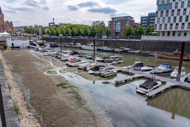 Niedrigwasser im Rhein bei Köln, der Rheinauhafen, Motorboote am Steg, liegen zum Teil auf Grund, am Tag der Aufnahme war es bis dato der tiefste je gemessener Rheinpegel in Köln, 60 cm, NRW, Deutschland Niedrigwasser Rhein K *** Low water levels in the Rhine near Cologne; the Rheinauhafen; motorboats at the dock, some of which are aground; on the day this photo was taken, the water level in Cologne was the lowest ever recorded—60 cm—North Rhine-Westphalia, Germany; Low Water Rhine K