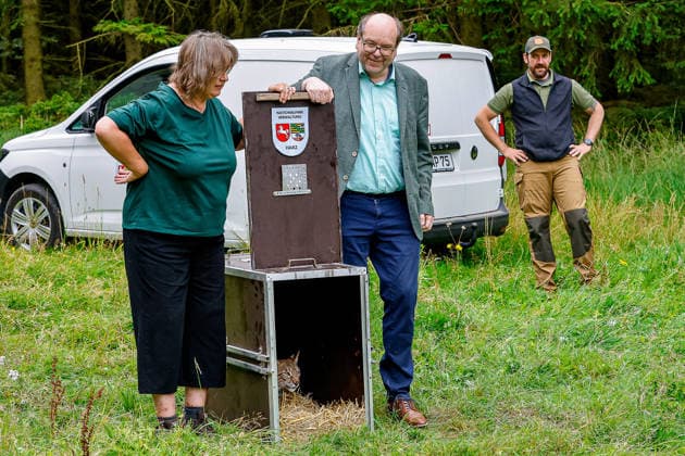 Niedersächsischer Umweltminister lässt Luchs im Osterwald auswildern Christian Meyer, Niedersächsischer Minister für Umwelt, Energie und Klimaschutz und Frauke Patzke, Staatssekretärin im Ministerium für Ernährung, Landwirtschaft und Verbraucherschutz stehen neben der Transportkiste mit der Luchsin und öffnen diese für die Auswilderung. Eldagsen Waldgebiet Forstamt Saupark Niedersachsen, Region Hannover Germany *** Lower Saxony’s Minister of the Environment Releases a Lynx into the Osterwald Christian Meyer, Lower Saxony’s Minister for the Environment, Energy, and Climate Protection, and Frauke Patzke, State Secretary at the Ministry of Food, Agriculture, and Consumer Protection, stand next to the transport crate containing the fem