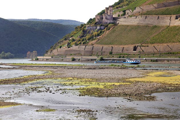 07.08.2026, Bingen, DEU Niedrigwasser am Rhein von Bingen aus gesehen. Ein Frachtschiff faehrt langsam durch die verbleibende Fahrrinne. Rechts am Berg die Burgruine Ehrenfels. Im Vordergrund der Zufluss der Nahe *** August 7, 2026, Bingen, Germany: Low water levels on the Rhine as seen from Bingen. A cargo ship is slowly navigating through the remaining channel. On the right, against the hillside, are the ruins of Ehrenfels Castle. In the foreground is the confluence with the Nahe River.