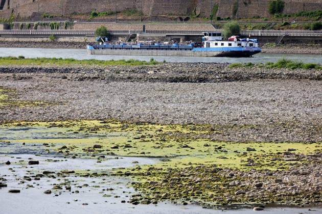 07.08.2026, Bingen, DEU Niedrigwasser am Rhein von Bingen aus gesehen. Ein Frachtschiff faehrt langsam durch die verbleibende Fahrrinne. *** August 7, 2026, Bingen, Germany: Low water levels on the Rhine as seen from Bingen. A cargo ship is slowly navigating through the remaining channel.