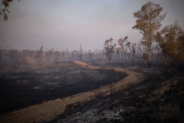 The wildfire in Niebla, Huelva, remains active, with more than 4,000 hectares affected The wildfire in Niebla, Huelva, remains active, with more than 4,000 hectares affected August 8, 2026, in Niebla, Huelva, Andalusia, Spain The wildfire that broke out this past Thursday in the Raboconejo area of Niebla, Huelva, has spread to over 4,000 hectares, and the emergency phase—Operational Level 2—remains in effect, due to constantly shifting winds that are hampering the efforts of more than 300 firefighters working to extinguish it. AUGUST 8, 2026 Niebla, Huelva, Andalusia, Spain Niebla, Huelva, Andalusia, Spain Spain  Copyright: xClaraxCarrascox 7706209
