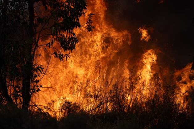 The wildfire in Niebla, Huelva, remains active, with more than 4,000 hectares affected The wildfire in Niebla, Huelva, remains active, with more than 4,000 hectares affected August 8, 2026, in Niebla, Huelva, Andalusia, Spain The wildfire that broke out this past Thursday in the Raboconejo area of Niebla, Huelva, has spread to over 4,000 hectares, and the emergency phase—Operational Level 2—remains in effect, due to constantly shifting winds that are hampering the efforts of more than 300 firefighters working to extinguish it. AUGUST 8, 2026 Niebla, Huelva, Andalusia, Spain Niebla, Huelva, Andalusia, Spain Spain  Copyright: xClaraxCarrascox 7706213