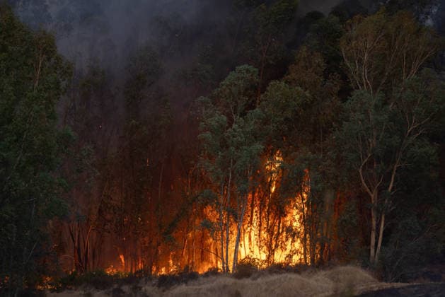 The wildfire in Niebla, Huelva, remains active, with more than 4,000 hectares affected The wildfire in Niebla, Huelva, remains active, with more than 4,000 hectares affected As of August 8, 2026, in Niebla, Huelva, Andalusia, Spain The wildfire that broke out this past Thursday in the Raboconejo area of Niebla, Huelva, has spread to over 4,000 hectares, and the emergency phase—Operational Level 2—remains in effect, due to the constantly shifting winds that are hampering the efforts of more than 300 firefighters working to extinguish it. AUGUST 8, 2026 Niebla, Huelva, Andalusia, Spain Niebla, Huelva, Andalusia, Spain Spain  Copyright: xClaraxCarrascox 7706204