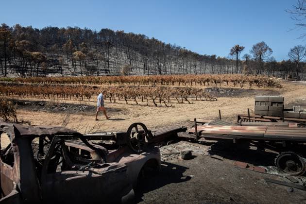 DAMAGE CAUSED TO VINEYARDS BY FIRES PHOTO PQR NICE MATIN CAMILLE DODET Correns Correns Correns Correns August 8, 2026 Photo PQR Camille Dodet Var Matin August 8, 2026 Correns, Var. After the fire that struck Correns, winegrowers are assessing the losses caused by the fire on the affected plots. In pictures. Photo: PQR Camille Dodet, Var Matin, August 8, 2026. Correns, Var. After the fire that struck Correns, winegrowersare assessing the losses caused by the fire’s passage through the damaged plots. In pictures: Fabien Mistre, president of the Correns Winegrowers’ Cooperative, walks through the rows of burned vines. Photo: PQR Camille Dodet, Var Matin, August 8, 2026. Correns Var After the fire that struck Correns, winemakers are assessing  Copyright: xPHOTOPQR NICExMATIN MAXPPPxCAMILLExDODETx 20260808NIM4880 20260808NIM4880