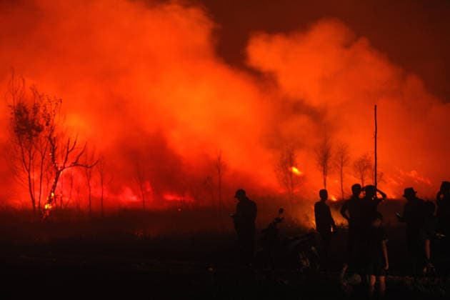 Firefighters battle forest fire in Indonesia s South Sumatra Province SOUTH SUMATRA, INDONESIA - AUGUST 8: Firefighters carry out operations to extinguish a forest fire in a wooded area of South Sumatra province, Indonesia on August 8, 2026. Efforts to control and suppress the blaze remain ongoing as emergency response teams work non-stop to contain the spread. Muhammad Fajri Anadolu South Sumatra Indonesia. Editorial use only. Please get in touch for any other usage.  Copyright: x2026xAnadoluxMuhammadxFajrix