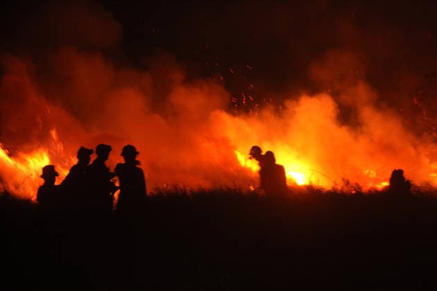 Firefighters battle forest fire in Indonesia s South Sumatra Province SOUTH SUMATRA, INDONESIA - AUGUST 8: Firefighters carry out operations to extinguish a forest fire in a wooded area of South Sumatra province, Indonesia on August 8, 2026. Efforts to control and suppress the blaze remain ongoing as emergency response teams work non-stop to contain the spread. Muhammad Fajri Anadolu South Sumatra Indonesia. Editorial use only. Please get in touch for any other usage.  Copyright: x2026xAnadoluxMuhammadxFajrix