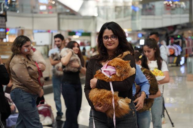 A cat beauty contest was held in Sulaymaniyah SULAYMANIYAH, IRAQ - AUGUST 08: Cats of various breeds, including Turkish Angora and Van cats, are displayed during a cat beauty contest hosted at a shopping mall in Sulaymaniyah, Iraq, on August 08, 2026. A total of 111 cats participated in the pageant, where judges evaluated feline contestants based on appearance, grooming, and coat condition. Fariq Faraj Mahmood Anadolu Sulaymaniyah Iraq. Editorial use only. Please get in touch for any other usage.  Copyright: x2026xAnadoluxFariqxFarajxMahmoodx