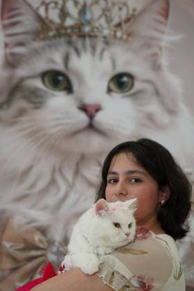 Entertainment Bilder des Tages A cat beauty contest was held in Sulaymaniyah SULAYMANIYAH, IRAQ - AUGUST 08: Cats of various breeds, including Turkish Angora and Van cats, are displayed during a cat beauty contest hosted at a shopping mall in Sulaymaniyah, Iraq, on August 08, 2026. A total of 111 cats participated in the pageant, where judges evaluated feline contestants based on appearance, grooming, and coat condition. Fariq Faraj Mahmood Anadolu Sulaymaniyah Iraq. Editorial use only. Please get in touch for any other usage.  Copyright: x2026xAnadoluxFariqxFarajxMahmoodx