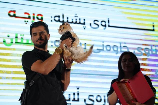 A cat beauty contest was held in Sulaymaniyah SULAYMANIYAH, IRAQ - AUGUST 08: Cats of various breeds, including Turkish Angora and Van cats, are displayed during a cat beauty contest hosted at a shopping mall in Sulaymaniyah, Iraq, on August 08, 2026. A total of 111 cats participated in the pageant, where judges evaluated feline contestants based on appearance, grooming, and coat condition. Fariq Faraj Mahmood Anadolu Sulaymaniyah Iraq. Editorial use only. Please get in touch for any other usage.  Copyright: x2026xAnadoluxFariqxFarajxMahmoodx