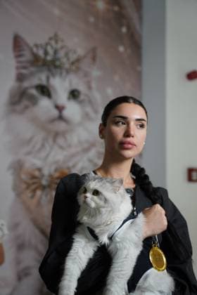 A cat beauty contest was held in Sulaymaniyah SULAYMANIYAH, IRAQ - AUGUST 08: Cats of various breeds, including Turkish Angora and Van cats, are displayed during a cat beauty contest hosted at a shopping mall in Sulaymaniyah, Iraq, on August 08, 2026. A total of 111 cats participated in the pageant, where judges evaluated feline contestants based on appearance, grooming, and coat condition. Fariq Faraj Mahmood Anadolu Sulaymaniyah Iraq. Editorial use only. Please get in touch for any other usage.  Copyright: x2026xAnadoluxFariqxFarajxMahmoodx