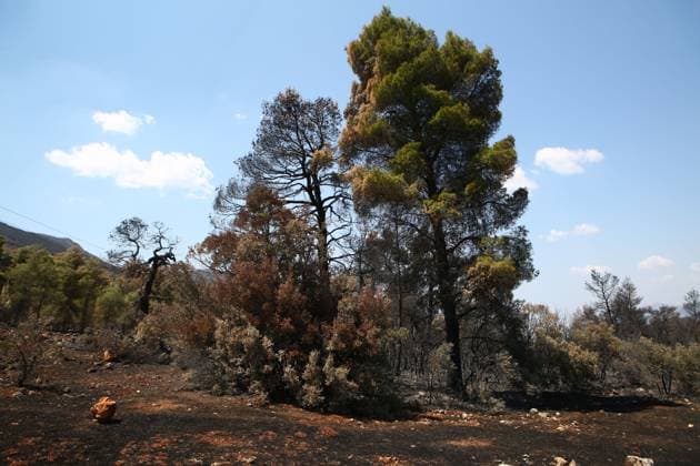 August 8, 2026, Porto Germeno, Greece: PORTO GERMENO, Greece Ã¢â‚¬ August 8, 2026: Five days after a wildfire swept through Porto Germeno, burned forests, damaged homes, and destroyed property remain across the affected area. With most residents evacuated, workers and emergency personnel continue clearing damaged areas, restoring infrastructure, and monitoring the fire-scarred landscape. Photos by JNA Press. Porto Germeno Greece - ZUMAq101 20260808_zna_q101_166 Copyright: xHarrisxXanthopoulosx