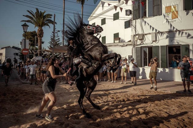 August 8, 2026, Llucmacanes, Menorca Balearic Islands, Spain: A caixer, or horse rider, rears prior to the traditional Jaleo at the Sant Gaieta Festival in Llucmacanes Llucmacanes Spain - ZUMAo105 20260808_fap_o105_003 Copyright: xMatthiasxOesterlex