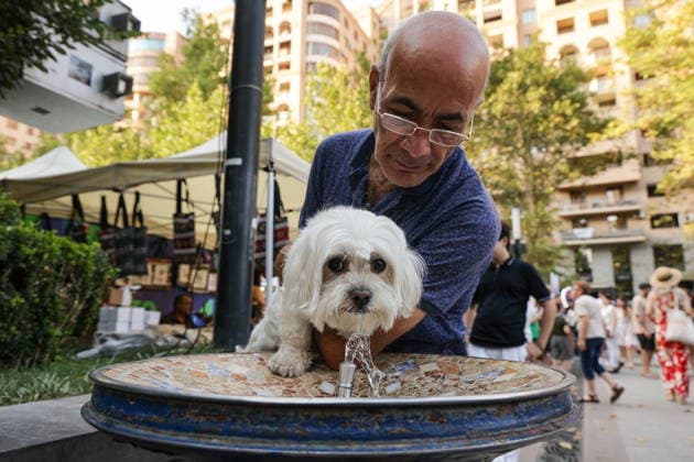 ARMENIA, YEREVAN - AUGUST 8, 2026: A man with a dog during the Siroooon Arm Fest festival celebrating the culture of Armenia in Seasons Park, central Yerevan. Alexander Patrin TASS  95914968