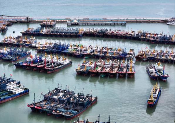 FUZHOU, CHINA - AUGUST 08: Aerial view of boats taking shelter from the upcoming Typhoon Dolphin at a fishing port on August 8, 2026 in Lianjiang County, Fuzhou City, Fujian Province of China. Typhoon Dolphin was moving northwestward at a speed of 10 to 15 kilometers per hour and is expected to make landfall along the coast between Zhoushan in Zhejiang Province and Fuding in Fujian Province from the night of August 9 to the morning of August 10.  Copyright: xChinaxNewsxServicex 111658832563