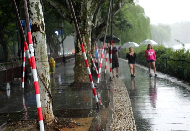 (260809) -- HANGZHOU, Aug. 9, 2026 -- Visitors walk past temporarily reinforced trees along the West Lake in Hangzhou, east China s Zhejiang Province, Aug. 9, 2026. China s national observatory on Sunday activated a red alert -- the highest level in the country s typhoon warning system -- as Typhoon Dolphin approaches. Typhoon Dolphin is forecast to make landfall along the country s east coast from Zhoushan in Zhejiang Province to Fuding in Fujian Province, according to the National Meteorological Center (NMC). ) CHINA-ZHEJIANG-HANGZHOU-TYPHOON DOLPHIN-PREVENTION (CN) HanxChuanhao 