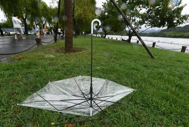 Typhoon Dolphin An umbrella damaged by Typhoon Dolphin was discarded on the grassland by West Lake in Hangzhou, Zhejiang Province, China on August 9, 2026. Hangzhou Zhejiang China  Copyright: xCFOTOx i1786289845460