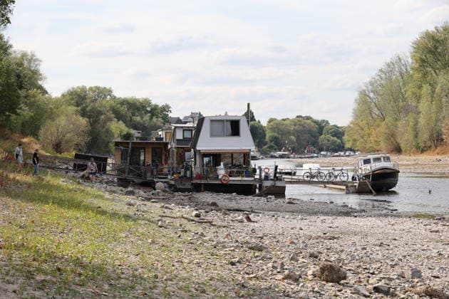 RECORD DATE NOT STATED Bad Honnef GER, Natur, Klima, Sommer, Trockenheit, Rhein, Niedrigwasser, Rheininsel Herseler Werth, Bornheim-Hersel, Nordrhein-Westfalen, Deutschland, 08.08.2026 Die Trockenheit laesst den Rheinpegel, hier am Herseler Werth in Bornheim-Hersel auf ein Mindestmass sinken GER, Natur, Klima, Sommer, Trockenheit, Rhein, Niedrigwasser, Rheininsel Herseler Werth, Bornheim-Hersel, Nordrhein-Westfalen, Deutschland, 08.08.2026 *** Bad Honnef, Germany, Nature, Climate, Summer, Drought, Rhine, Low Water, Herseler Werth Island, Bornheim Hersel, North Rhine-Westphalia, Germany, August 8, 2026: The drought is causing the Rhine water level—here at Herseler Werth in Bornheim Hersel—to drop to a minimum GER, Nature, Climate, Summer, Drought, Rhine, Lo Copyright: xEibner-Pressefoto JuergenxAugstx EP_JAT