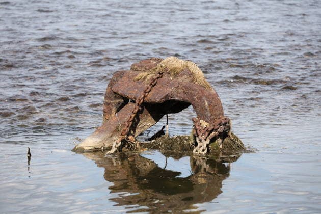 RECORD DATE NOT STATED Bad Honnef GER, Natur, Klima, Sommer, Trockenheit, Rhein, Niedrigwasser, Rheininsel Herseler Werth, Bornheim-Hersel, Nordrhein-Westfalen, Deutschland, 08.08.2026 Die Trockenheit laesst den Rheinpegel, hier am Herseler Werth in Bornheim-Hersel auf ein Mindestmass sinken GER, Natur, Klima, Sommer, Trockenheit, Rhein, Niedrigwasser, Rheininsel Herseler Werth, Bornheim-Hersel, Nordrhein-Westfalen, Deutschland, 08.08.2026 *** Bad Honnef, Germany, Nature, Climate, Summer, Drought, Rhine, Low Water, Herseler Werth Island, Bornheim Hersel, North Rhine-Westphalia, Germany, August 8, 2026: The drought is causing the Rhine water level—here at Herseler Werth in Bornheim Hersel—to drop to a minimum GER, Nature, Climate, Summer, Drought, Rhine, Lo Copyright: xEibner-Pressefoto JuergenxAugstx EP_JAT