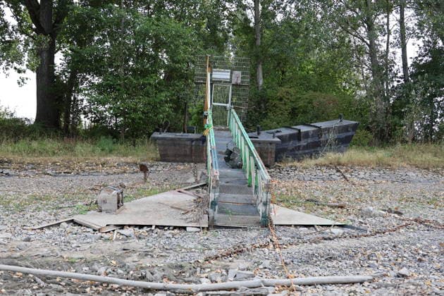 RECORD DATE NOT STATED Bad Honnef GER, Natur, Klima, Sommer, Trockenheit, Rhein, Niedrigwasser, Rheininsel Herseler Werth, Bornheim-Hersel, Nordrhein-Westfalen, Deutschland, 08.08.2026 Die Trockenheit laesst den Rheinpegel, hier am Herseler Werth in Bornheim-Hersel auf ein Mindestmass sinken GER, Natur, Klima, Sommer, Trockenheit, Rhein, Niedrigwasser, Rheininsel Herseler Werth, Bornheim-Hersel, Nordrhein-Westfalen, Deutschland, 08.08.2026 *** Bad Honnef, Germany, Nature, Climate, Summer, Drought, Rhine, Low Water, Herseler Werth Island, Bornheim Hersel, North Rhine-Westphalia, Germany, August 8, 2026: The drought is causing the Rhine water level—here at Herseler Werth in Bornheim Hersel—to drop to a minimum GER, Nature, Climate, Summer, Drought, Rhine, Lo Copyright: xEibner-Pressefoto JuergenxAugstx EP_JAT