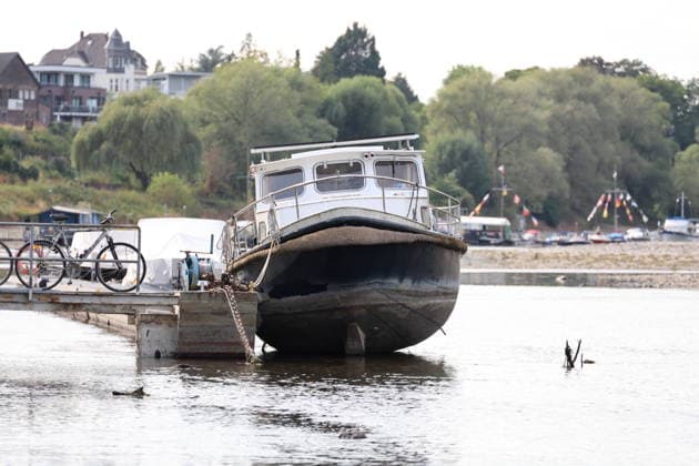 RECORD DATE NOT STATED Bad Honnef GER, Natur, Klima, Sommer, Trockenheit, Rhein, Niedrigwasser, Rheininsel Herseler Werth, Bornheim-Hersel, Nordrhein-Westfalen, Deutschland, 08.08.2026 Die Trockenheit laesst den Rheinpegel, hier am Herseler Werth in Bornheim-Hersel auf ein Mindestmass sinken GER, Natur, Klima, Sommer, Trockenheit, Rhein, Niedrigwasser, Rheininsel Herseler Werth, Bornheim-Hersel, Nordrhein-Westfalen, Deutschland, 08.08.2026 *** Bad Honnef, Germany, Nature, Climate, Summer, Drought, Rhine, Low Water, Herseler Werth Island, Bornheim Hersel, North Rhine-Westphalia, Germany, August 8, 2026: The drought is causing the Rhine water level—here at Herseler Werth in Bornheim Hersel—to drop to a minimum GER, Nature, Climate, Summer, Drought, Rhine, Lo Copyright: xEibner-Pressefoto JuergenxAugstx EP_JAT