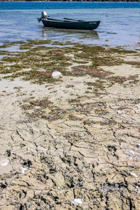 Ein Ruderboot ist festgemacht an einer Boje weit entfernt vom eigentlichen Ufer des Bodensee. Sorge bereitet der niedrige Wasserstand. Der Zugang zum Wasser ist erschwert. 07.08.2026, Reichenau, Baden-Württemberg, Deutschland