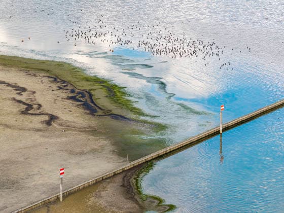 Radolfzeller Aachmündung. Hafen von Moos am Bodensee mit wenig Wasser. Der Wasserstand ist aufgrund des heißen Sommers auf einem Tiefststand. In vielen Häfen des Untersees ist kaum noch Wasser. Moos liegt am Ufer des Bodensees auf der Halbinsel Höri. 06.08.2026, Moos, Baden-Württemberg, Deutschland