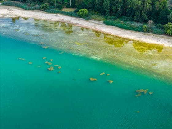 Bodenseeufer bei Moos mit wenig Wasser. Der Wasserstand ist aufgrund des heißen Sommers auf einem Tiefststand. In vielen Häfen des Untersees ist kaum noch Wasser. Moos liegt am Ufer des Bodensee auf der Halbinsel Höri. 06.08.2026, Moos, Baden-Württemberg, Deutschland