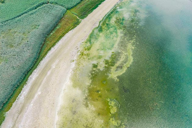 Bodenseeufer bei Moos mit wenig Wasser. Der Wasserstand ist aufgrund des heißen Sommers auf einem Tiefststand. In vielen Häfen des Untersees ist kaum noch Wasser. Moos liegt am Ufer des Bodensee auf der Halbinsel Höri. 06.08.2026, Moos, Baden-Württemberg, Deutschland *** The shore of Lake Constance near Moos with low water levels. Water levels have reached a record low due to the hot summer. In many harbors on the Untersee, there is hardly any water left. Moos is located on the shore of Lake Constance on the Höri Peninsula. August 6, 2026, Moos, Baden-Württemberg, Germany