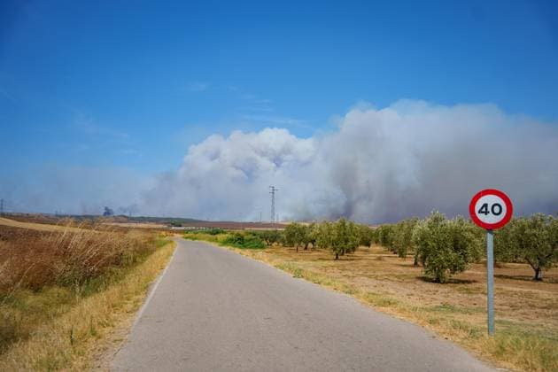 The fire in Niebla, Huelva, has now spread across 8,000 hectares and has forced more than 400 people to evacuate The fire in Niebla, Huelva, has now spread across 8,000 hectares and has forced more than 400 people to evacuate As of August 9, 2026 in Niebla, Huelva, Andalusia, Spain The wildfire that broke out this past Thursday in Niebla, Huelva, has now spread across 8,000 hectares, and 474 people remain evacuated. Firefighting efforts this Sunday are focused on the northern and eastern flanks, with the aim of completely enclosing the perimeter, which is estimated at about 44 kilometers. AUGUST 9, 2026 Francisco J Niebla, Huelva, Andalusia, Spain Niebla, Huelva, Andalusia, Spain Spain  Copyright: xFranciscoxJ.xOlmox 7707345