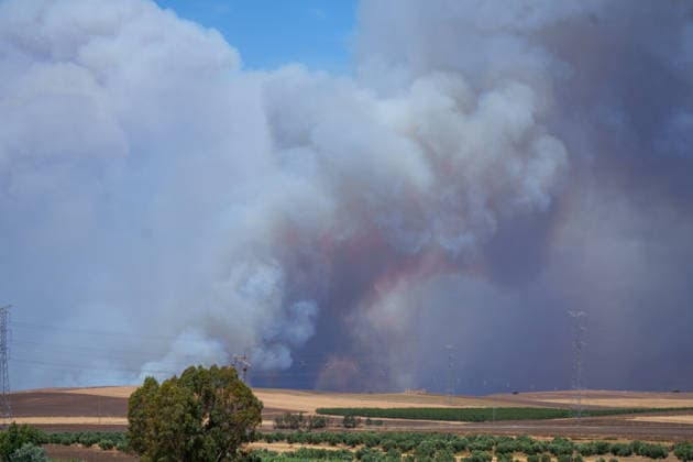 The fire in Niebla, Huelva, has now spread across 8,000 hectares and has forced more than 400 people to evacuate The fire in Niebla, Huelva, has now spread across 8,000 hectares and has forced more than 400 people to evacuate As of August 9, 2026 in Niebla, Huelva, Andalusia, Spain The wildfire that broke out this past Thursday in Niebla, Huelva, has now spread across 8,000 hectares, and 474 people remain evacuated. Firefighting efforts this Sunday are focused on the northern and eastern flanks, with the aim of completely enclosing the perimeter, which is estimated at about 44 kilometers. AUGUST 9, 2026 Francisco J Niebla, Huelva, Andalusia, Spain Niebla, Huelva, Andalusia, Spain Spain  Copyright: xFranciscoxJ.xOlmox 7707346