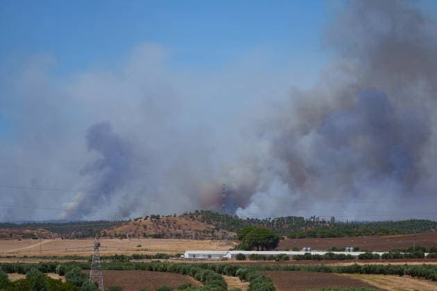 The fire in Niebla, Huelva, has now spread across 8,000 hectares and has forced more than 400 people to evacuate The fire in Niebla, Huelva, has now spread across 8,000 hectares and has forced more than 400 people to evacuate As of August 9, 2026 in Niebla, Huelva, Andalusia, Spain The wildfire that broke out this past Thursday in Niebla, Huelva, has now spread across 8,000 hectares, and 474 people remain evacuated. Firefighting efforts this Sunday are focused on the northern and eastern flanks, with the aim of completely enclosing the perimeter, which is estimated at about 44 kilometers. AUGUST 9, 2026 Francisco J Niebla, Huelva, Andalusia, Spain Niebla, Huelva, Andalusia, Spain Spain  Copyright: xFranciscoxJ.xOlmox 7707348
