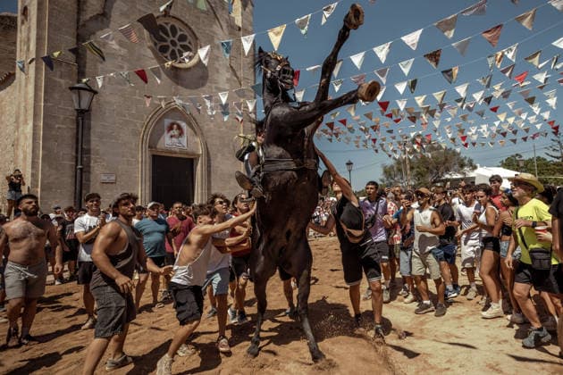August 9, 2026, Llucmacanes, Menorca Balearic Islands, Spain: A caixer, or horse rider, rears his horse amid a cheering crowd during the traditional Jaleo at the Sant Gaieta Festival in Llucmacanes Llucmacanes Spain - ZUMAo105 20260809_fap_o105_012 Copyright: xMatthiasxOesterlex