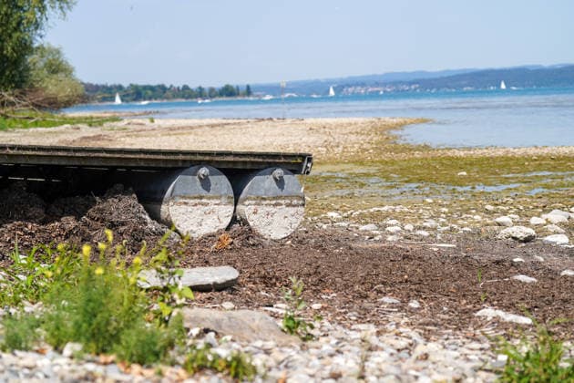 Bodensee bei Bottighofen (Kanton Thurgau), Schweiz: Freigelegter Uferbereich mit Kiesbank und niedrigem Wasserstand am Bodensee. Totale, Uferlandschaft, Niedrigwasser, Wasserstand, Trockenheit, Dürre, Klimawandel, Hitze, Wetterextreme, Umwelt, Natur, Bodenseeufer, Steg, Sedimente, Kiesstrand, Flachwasserzone, Schifffahrt, Wassersport, Segelboot, Sommer, Schweiz, Symbolbild. *** Lake Constance near Bottighofen, Canton of Thurgau, Switzerland Exposed shoreline with a gravel bank and low water level on Lake Constance; wide-angle view, shoreline landscape, low water, water level, dry conditions, drought, climate change, heat, extreme weather, environment, nature, Lake Constance shoreline, pier, sediments, gravel beach, shallow water zone, Copyright: xJOERANxSTEINSIEKx