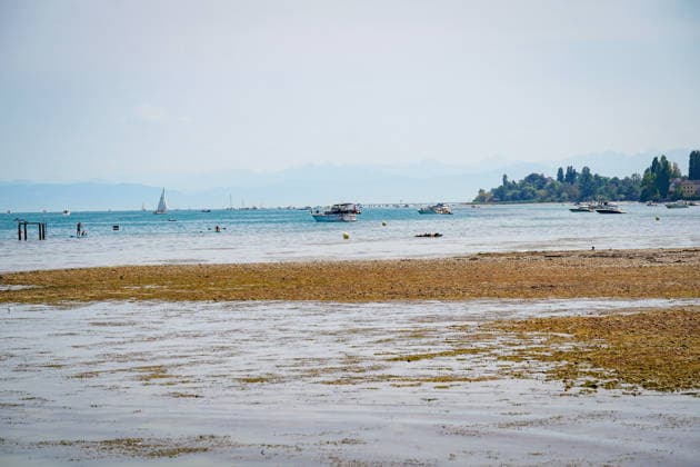 Bodensee bei Bottighofen (Kanton Thurgau), Schweiz: Weitläufige Flachwasserzone und freigelegte Kiesbänke infolge niedrigen Wasserstands am Bodensee. Totale, Niedrigwasser, Bodenseeufer, Kiesbank, Flachwasser, Trockenheit, Dürre, Klimawandel, Hitze, Wetterextreme, Umwelt, Natur, Wasserknappheit, Segelboote, Motorboote, Stand-up-Paddling, Badegäste, Wassersport, Freizeit, Sommer, Alpenpanorama, Schifffahrt, Schweiz, Symbolbild. *** Lake Constance near Bottighofen, Canton of Thurgau, Switzerland; Extensive shallow-water zone and exposed gravel banks due to low water levels in Lake Constance; Total, low water, Lake Constance shoreline, gravel bank, shallow water, drought, climate change, heat, extreme weather, environment, nature, wate Copyright: xJOERANxSTEINSIEKx
