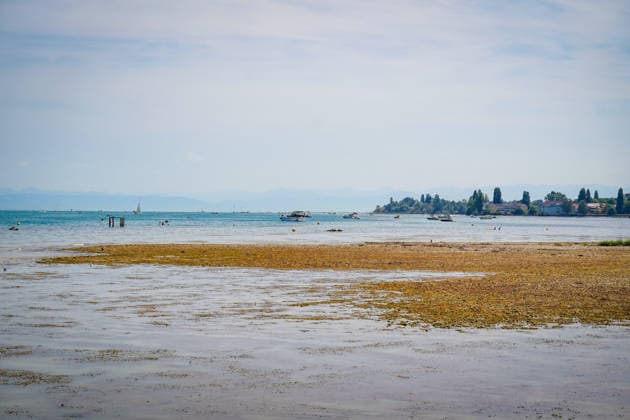 Bodensee bei Bottighofen (Kanton Thurgau), Schweiz: Ausgedehnte Flachwasser- und Uferzonen mit freigelegten Kiesbänken infolge niedrigen Wasserstands. Totale, Niedrigwasser, Bodensee, Bodenseeufer, Kiesbank, Flachwasserzone, Wasserpflanzen, Algen, Trockenheit, Dürre, Klimawandel, Hitze, Wetterextreme, Umwelt, Natur, Wasserqualität, Badegäste, Motorboote, Segelboote, Stand-up-Paddling, Wassersport, Freizeit, Sommer, Alpenpanorama, Schweiz, Symbolbild. *** Lake Constance near Bottighofen, Canton of Thurgau, Switzerland; Extensive shallow water and shoreline areas with exposed gravel banks due to low water levels; Total, Low Water, Lake Constance, Lake Constance shoreline, gravel bank, shallow water zone, aquatic plants, algae, dry con Copyright: xJOERANxSTEINSIEKx
