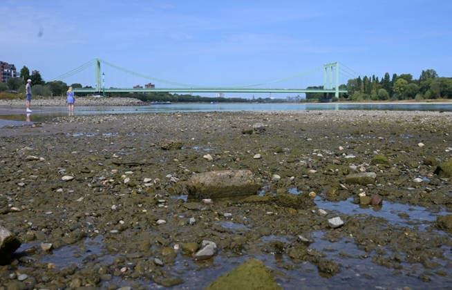 News Bilder des Tages 09.08.2026, xophax, öffentliches Leben, Köln, Cologne. Rhein. Niedrigwasser im Rhein. Schifffahrt im Rhein eingeschränkt. Südbrücke. Köln *** August 9, 2026, xophax, public life, Cologne, Low water levels in the Rhine; shipping on the Rhine restricted; South Bridge, Cologne