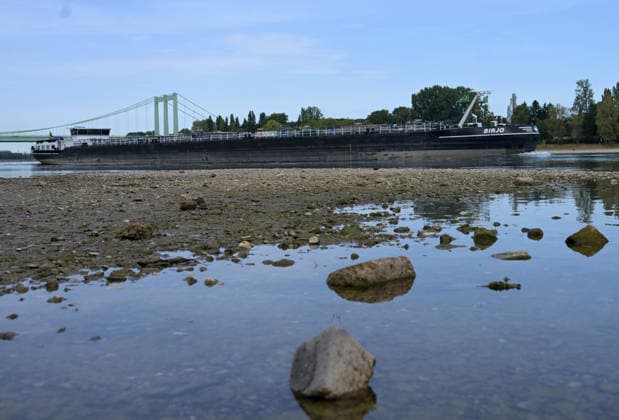 09.08.2026, xophax, öffentliches Leben, Köln, Cologne. Rhein. Niedrigwasser im Rhein. Schifffahrt im Rhein eingeschränkt. Rodenkirchen. Köln *** August 9, 2026, xophax, public life, Cologne, Low water levels in the Rhine; shipping on the Rhine restricted; Rodenkirchen, Cologne