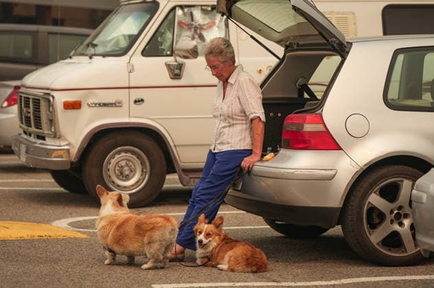August 9, 2026, Penticton, Bc, CANADA: Pat Killen, 78, who was evacuated from her home in Summerland, B.C., due to the Bald Range wildfire and has been sleeping in her car, sits with her dogs Emma and Willow in the parking lot outside an evacuee centre, in Penticton, B.C., on Sunday, Aug. 9, 2026. The Bald Range wildfire in British Columbia s south Okanagan region has forced 20,000 people out of their homes in the Peachland and Summerland areas. Penticton CANADA  - ZUMAc35_ 20260809_zaf_c35_038 Copyright: xDarrylxDyckx