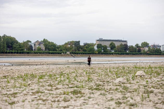 Niedrigwasser am Rhein: Trockenes Flussbett am Beueler Rheinufer in Bonn Niedrigwasser am Rhein: Blick auf das weitgehend trockene Flussbett am Beueler Rheinufer in Bonn bei einem Pegelstand von 78 cm am Pegel Bonn. Die anhaltende Trockenheit lässt den Rhein weiter sinken, die Binnenschifffahrt ist stark eingeschränkt. Bonn Beuel Nordrhein-Westfalen Deutschland *** Low Water Levels on the Rhine: Dry riverbed on the Beuel bank of the Rhine in Bonn; Low Water Levels on the Rhine: View of the largely dry riverbed on the Beuel bank of the Rhine in Bonn, with a water level of 78 cm at the Bonn gauge. The ongoing drought is causing the Rhine’s water level to continue to drop, and inland waterway shipping is severely restricted Bonn Beuel North Copyright: xMarcxJohnx