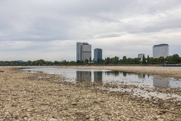Niedrigwasser am Rhein: Trockenes Flussbett am Beueler Rheinufer in Bonn Niedrigwasser am Rhein: Blick auf das weitgehend trockene Flussbett am Beueler Rheinufer in Bonn bei einem Pegelstand von 78 cm am Pegel Bonn. Buchten und Inseln haben sich mitten im Rheinbett gebildet. Die anhaltende Trockenheit lässt den Rhein weiter sinken, die Binnenschifffahrt ist stark eingeschränkt. Im Hintergrund der DHL Post Tower, Langer Eugen mit dem Climate Tower (UN Campus) und dem Radisson Blu Hotel am WCCB. Bonn Beuel Nordrhein-Westfalen Deutschland *** Low Water on the Rhine: Dry riverbed on the Beuel bank of the Rhine in Bonn Low Water on the Rhine: View of the largely dry riverbed on the Beuel bank of the Rhine in Bonn at a water level of 78 cm at t Copyright: xMarcxJohnx