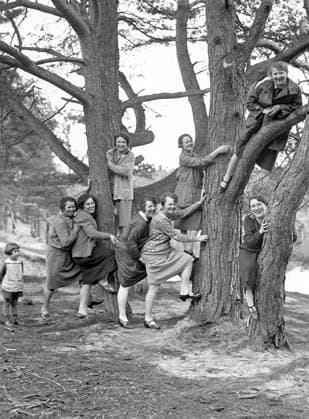 Eine Gruppe von Frauen posieren mit Bäumen. Einige klettern auf den Baum, witzig, komisch, historisch, 1930er Jahre, genauer Ort unbekannt, Deutschland A group of woman pose with trees. Some climb the tree, funny, funny, historical, 1930s, exact location unknown, Germany Copyright: imageBROKER our-planet.berlin iblhek18368498.jpg
