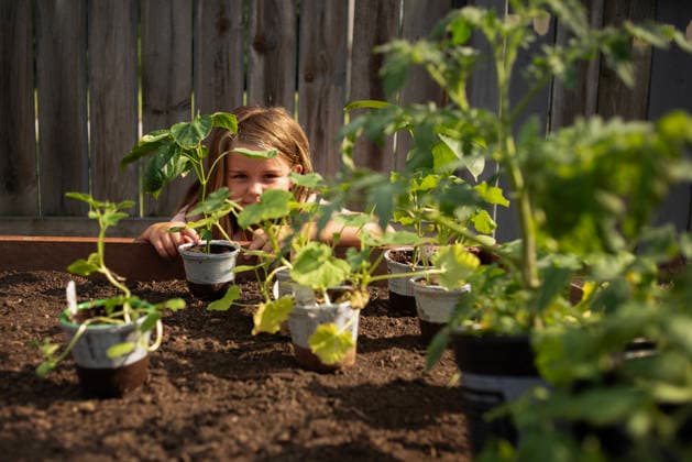 Young girl curiously peeking over a garden bed full of seedlings Smithville, Ohio, United States CR_JOKU260805-2093192-01 ,model released, Symbolfoto ,property released
