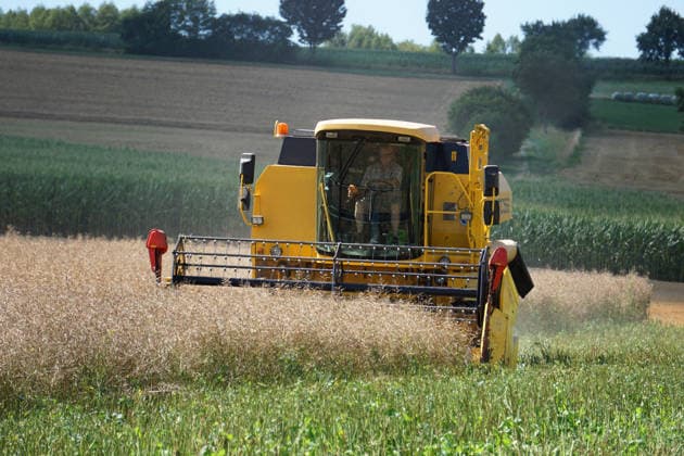 Rapsernte in Eilensen im Landkreis Northeim am Solling in Deutschland im Bundesland Niedersachsen. Maehdrescher der Marke New Holland drescht Raps auf trockenem Feld bei sonnigem Sommerwetter. Rapsernte 2026 in Niedersachsen *** Rapeseed harvest in Eilensen in the Northeim am Solling district of Lower Saxony, Germany. A New Holland combine harvester is threshing rapeseed in a dry field under sunny summer skies. 2026 rapeseed harvest in Lower Saxony