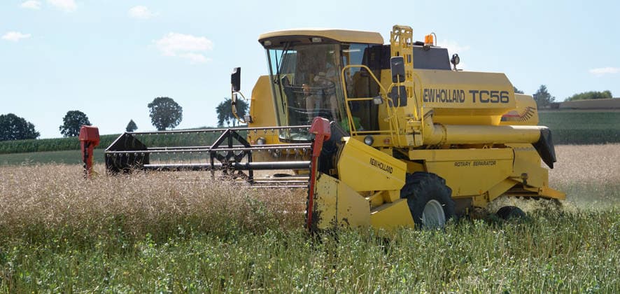 Rapsernte in Eilensen im Landkreis Northeim am Solling in Deutschland im Bundesland Niedersachsen. Maehdrescher der Marke New Holland drescht Raps auf trockenem Feld bei sonnigem Sommerwetter. Rapsernte 2026 in Niedersachsen *** Rapeseed harvest in Eilensen in the Northeim am Solling district of Lower Saxony, Germany. A New Holland combine harvester is threshing rapeseed in a dry field under sunny summer skies. 2026 rapeseed harvest in Lower Saxony
